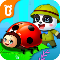 宝宝巴士奇妙昆虫日记加强版
