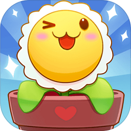 阳台种点啥最新版