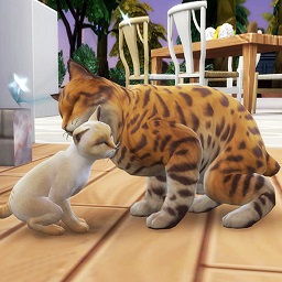 猫咪想恋爱游戏