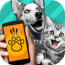 动物交流模拟器中文版