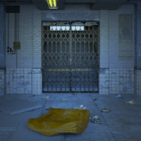 逃离迷途游戏(escape game astray)