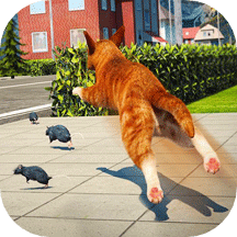 碰碰猫星人游戏