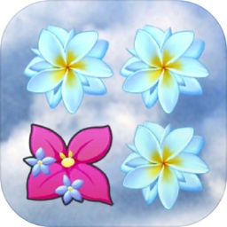 同花齐放手机版