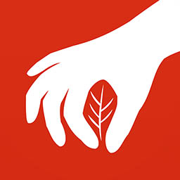 药采采中药平台