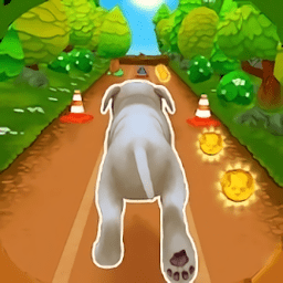 pet run游戏