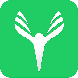 云艺术人app