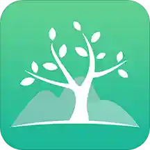 元林数字官方版