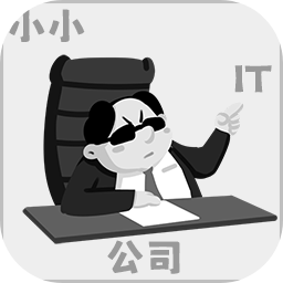 小小it公司最新版
